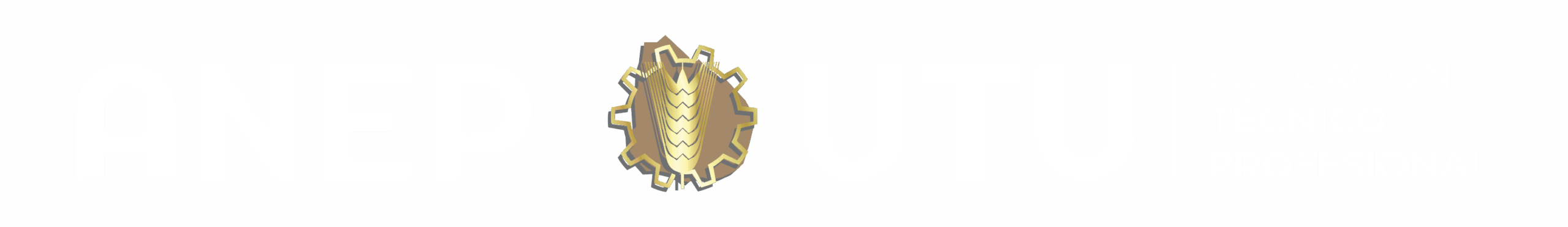 Pasantías y becas laborales